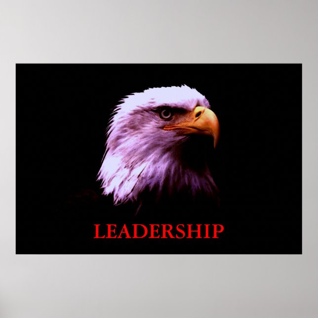 Motivation Leadership Eagle Eyes Poster (Devant)