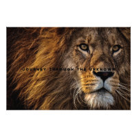 Motivational and Inspirational Art of Lion