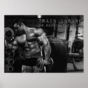Motivational Bodybuilding Gym Poster
