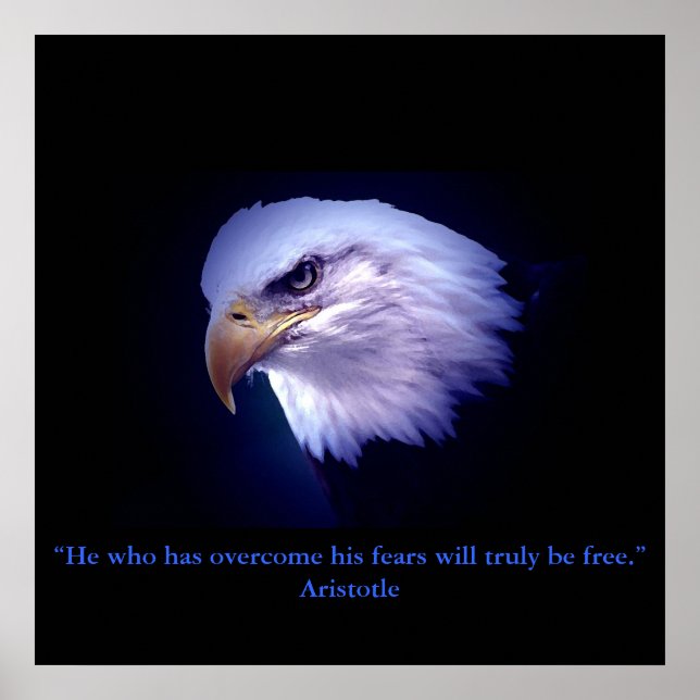 Motivational Courage Eagle Eyes Poster Print (Front)