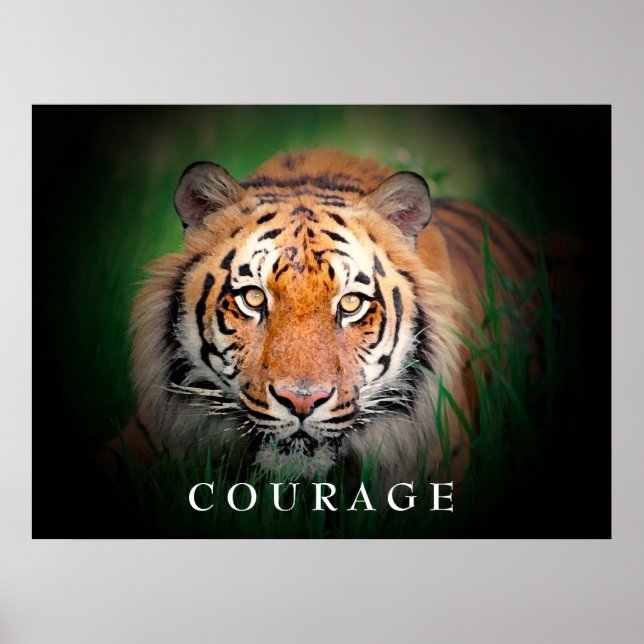 Motivational Courage Tiger Poster (Front)