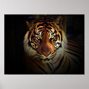 Motivational Eyes of Tiger in Shadow Poster Print