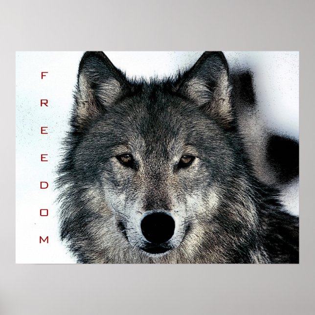 Motivational Freedom Courage Loup Poster Imprimer (Devant)