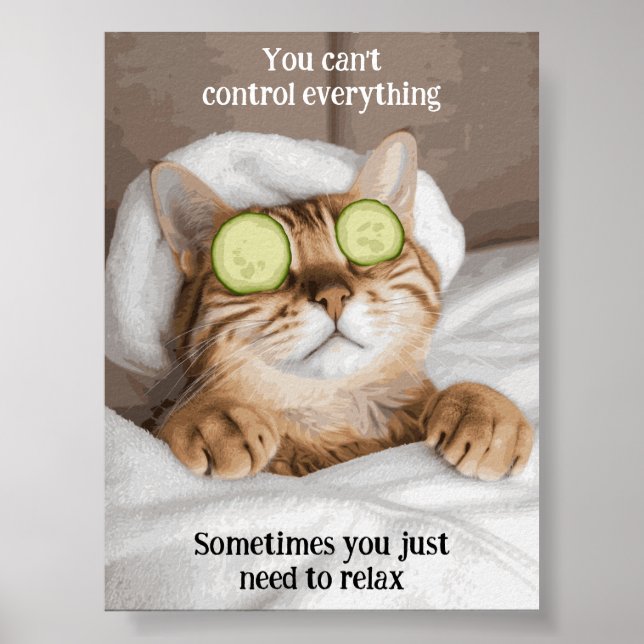 Motivational Funny Inspirational Cat Poster (Front)