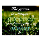 Motivational| Grass is greener where you water it