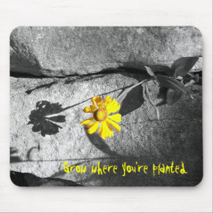 Motivational "Grow where you're planted" Mousepad