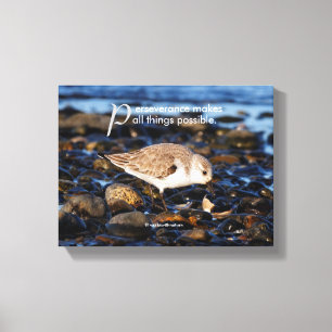 Motivational "Perseverance Makes ..." Sanderling Canvas Print