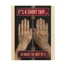 motivational quote :It's a short trip