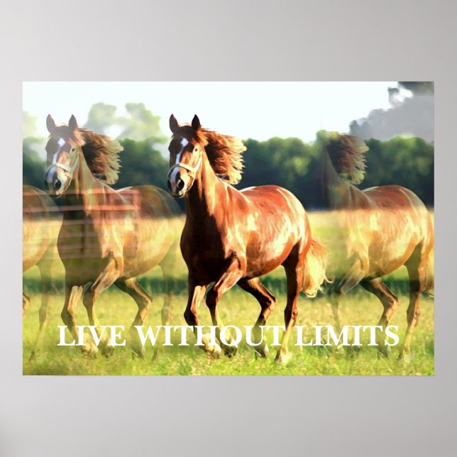 Motivational Running Horse Live Without Limits Poster (Front)