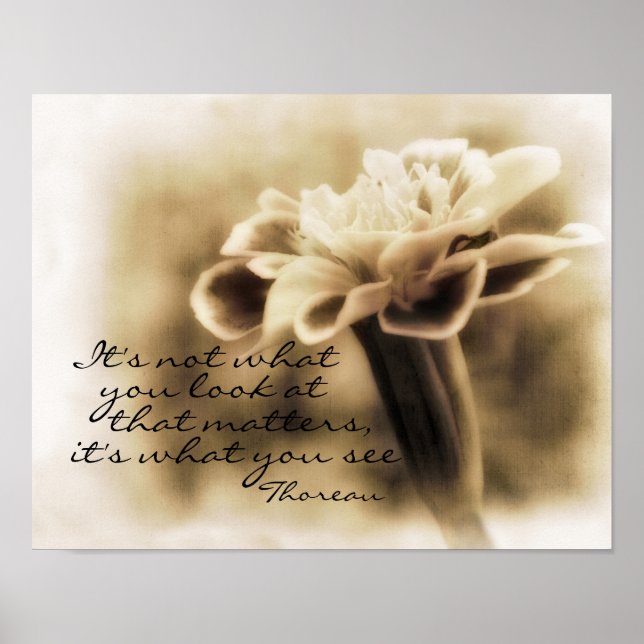 motivational Thoreau quote nature art poster (Front)