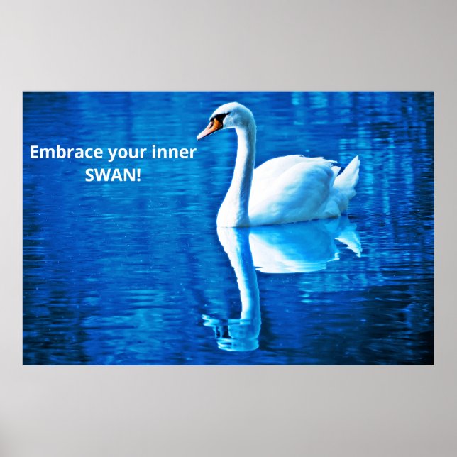 Motivational Thought Swan Reflection Blue & White Poster (Front)