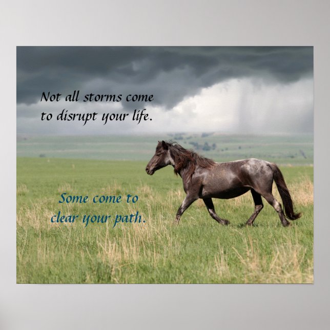 Motivational Wild Mustang Horse Poster (Front)