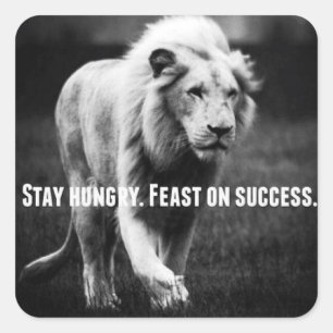 Motivational Words - Stay Hungry, Fest on Success Square Sticker