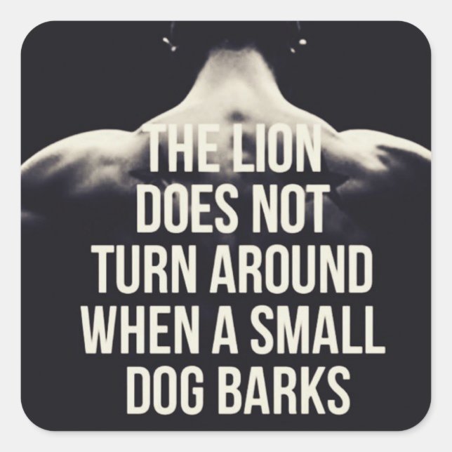 Motivational Words - The Lion Does Not Turn Around Square Sticker (Front)
