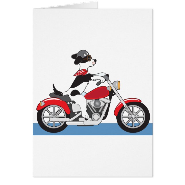 Moto de chien (Devant)