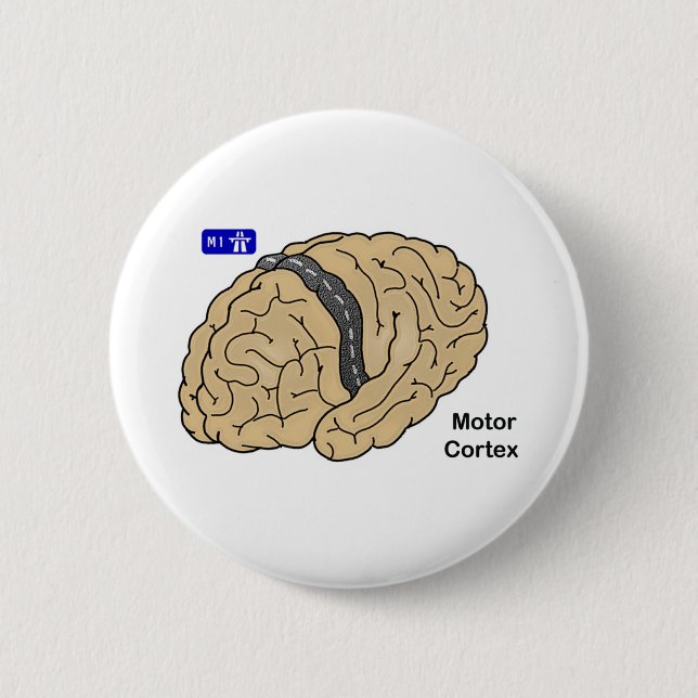 Motor Cortex 2 Inch Round Button (Front)