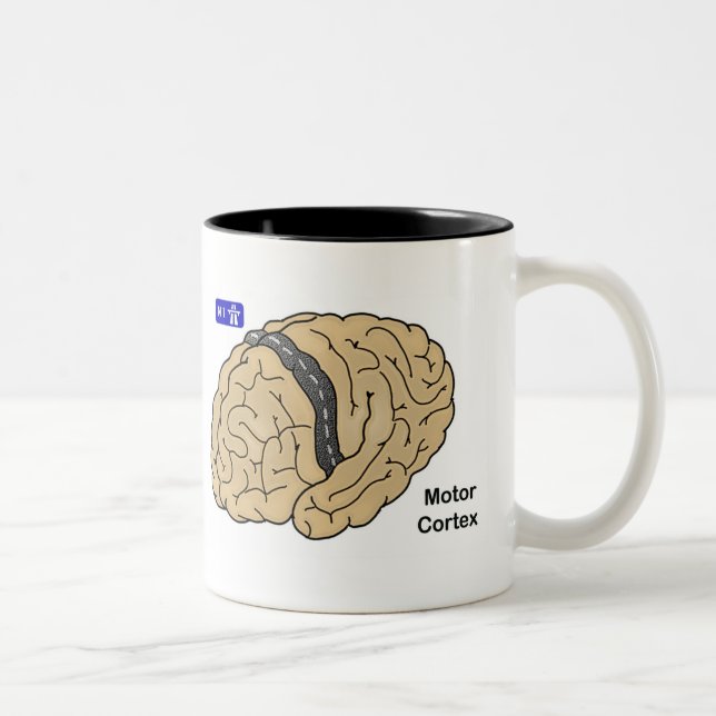 Motor Cortex Two-Tone Coffee Mug (Right)