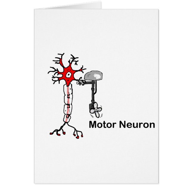 Motor Neuron (Front)