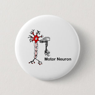 Motor Neuron 2 Inch Round Button