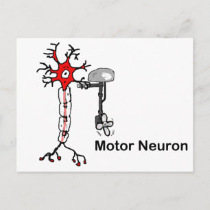 Motor Neuron Postcard