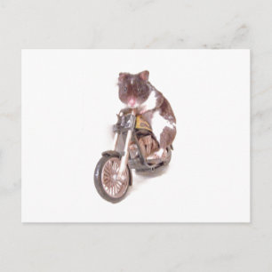 Motorcycle Hamster Postcard