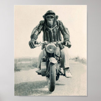 Motorcycle Monkey, Ape on Motorcycle, Vintage Poster