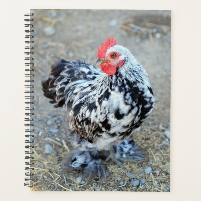Mottled Bantam Cochin Chicken Planner (Front)