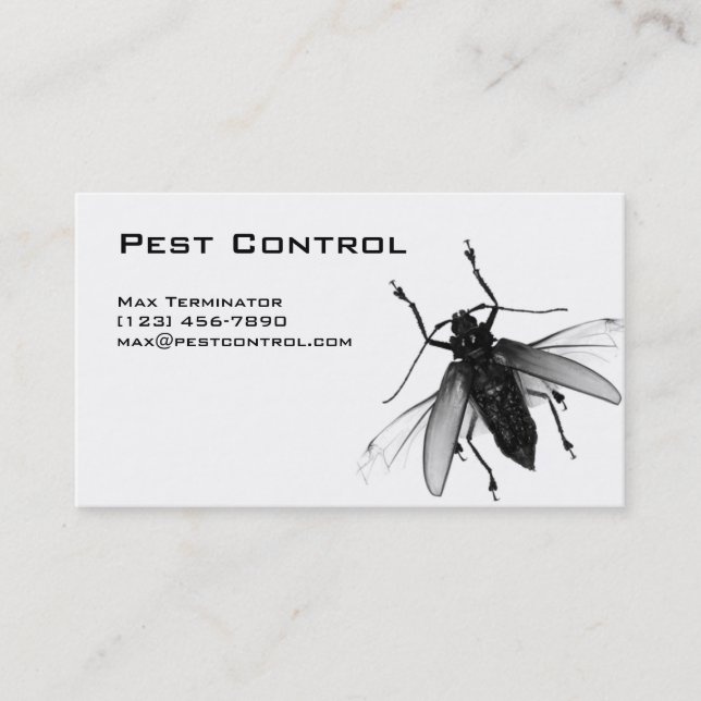 Mouche de carte de visite de lutte contre les (Devant)