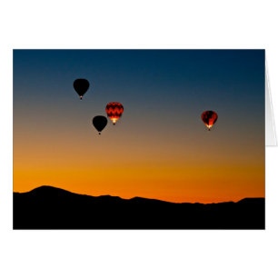 Mouche veneze partie