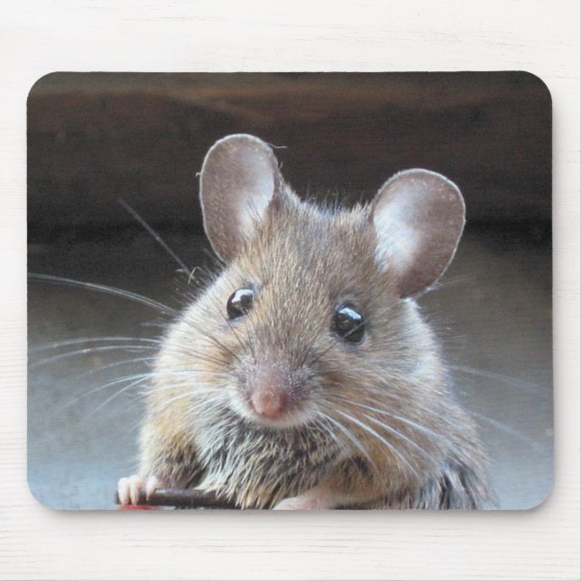 Moue mousepad (Front)