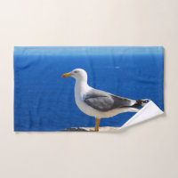 Mouette à la plage