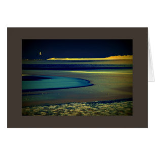 Mouette au bord de la mer