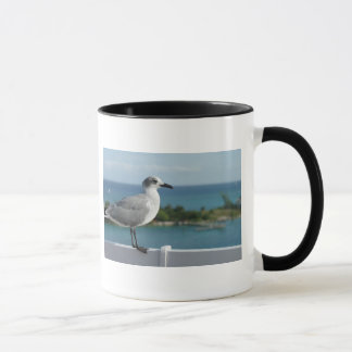 Mouette dans la tasse de paradis