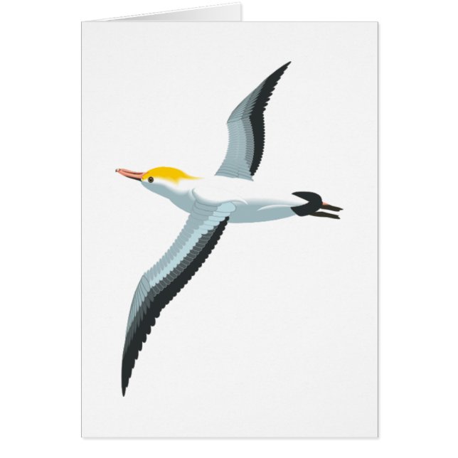 Mouette de vol (Devant)