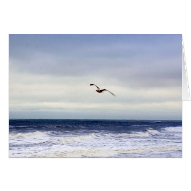 Mouette En Violet (Devant horizontal)