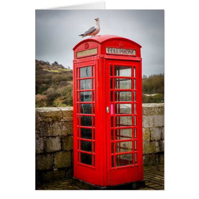 Mouette sur boîte téléphonique (Devant)