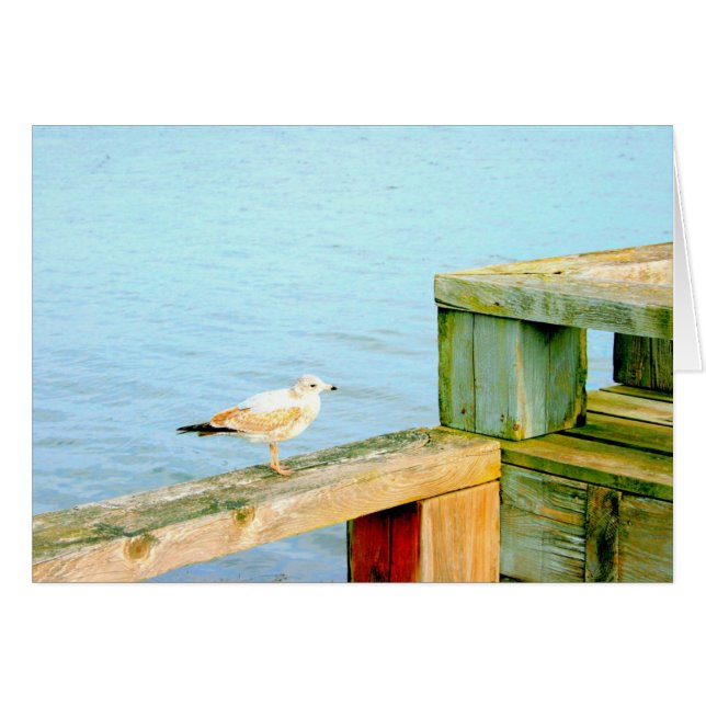 Mouette sur rail (Devant horizontal)