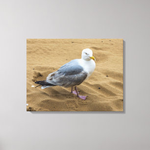 Mouette sur une toile de plage de sable imprimé