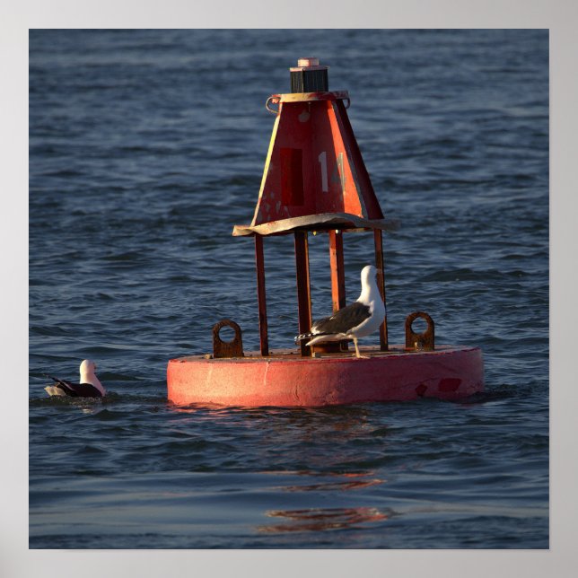 Mouettes avec affiche de bouée (Devant)