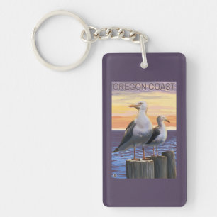 Mouettes de côte de l'Orégon