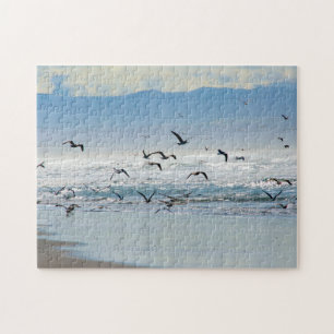 Mouettes De La Côte Pacifique Dans Un Puzzle De Vo