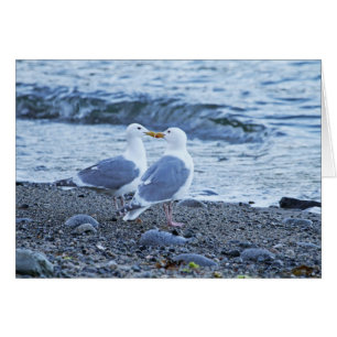 Mouettes embrassant sur la photo de plage