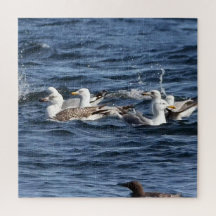 Mouettes Sur Les Océans Puzzle Acrylique
