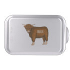 Highland cow