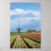 Moulin à vent et tulipes paysage poster verticale