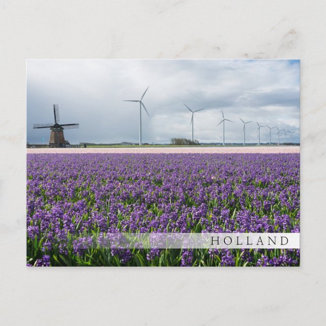 Moulin traditionnel et moderne, carte Holland bar (Devant)