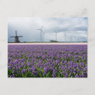 Moulin traditionnel et moderne, carte postale Holl