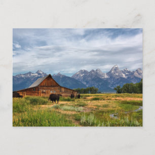 Moulton Barn Postcard