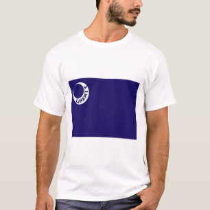 Moultrie Flag (Liberty) (American History) T-Shirt