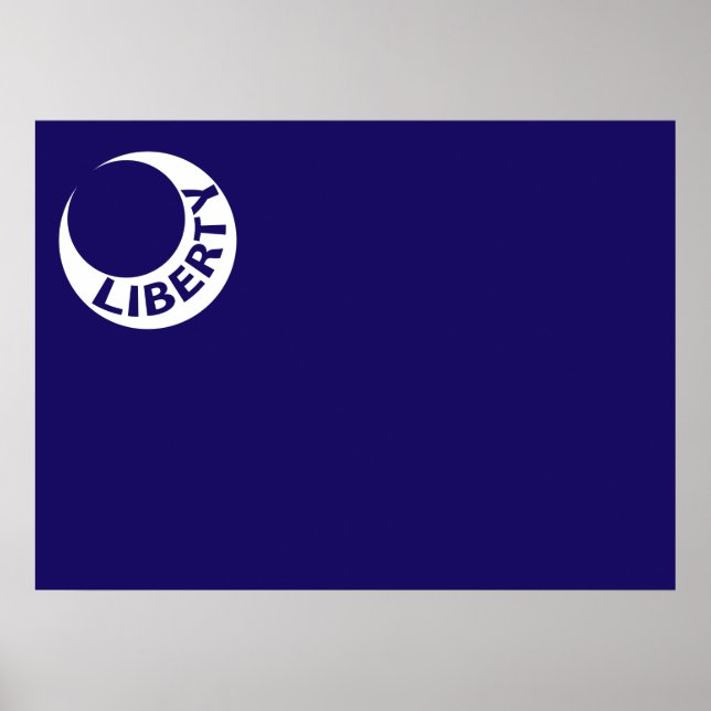 Moultrie Flag Poster (Front)